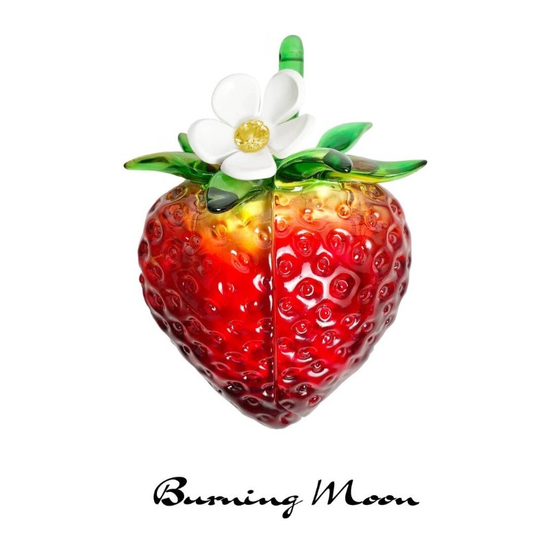 Aardbei oordopjeshoes voor Air - Strawberry Huller recensie en prijs